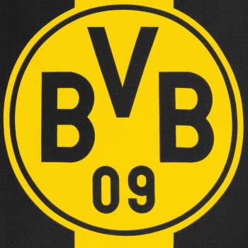 Borussia Dortmund BVB Bettwäsche Blockstreifen 135 x 200 cm